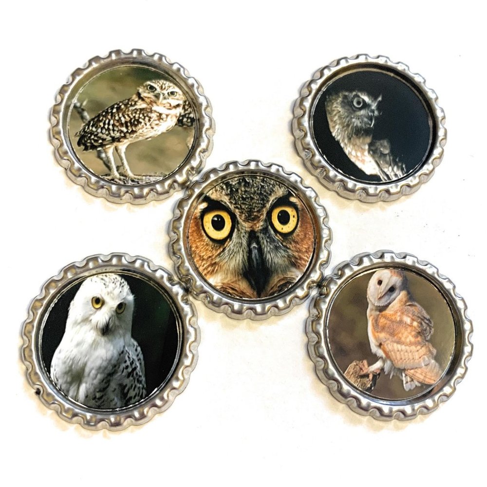 Owls Magnet Set
